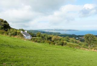 Rhiwelli - Dinas - 6