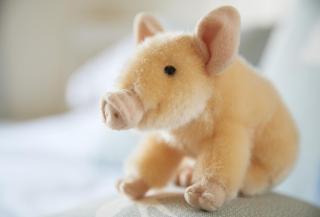 Downclose Piggeries - 1