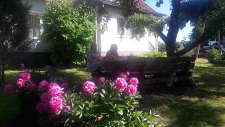Dom na Mazurach ,, Agroturystyka pod Gruszą '' - Ładne Pole - 6