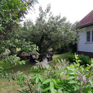 Dom na Mazurach ,, Agroturystyka pod Gruszą '' - 8