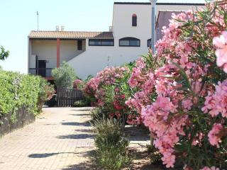 Studio Cabine Avec Piscine & Parking - Gruissan - FR-1-229-56 - 6
