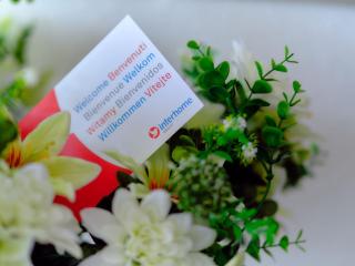 Holiday Home Carina Lakeview by Interhome - 8