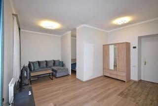 Aleq Manukyan street, 1 bedroom New Euro renovated, Sunny apartment AL777 - Yerevan - 7