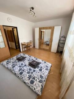 Apartmán U Mendláku - Brno - 4