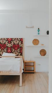 Salon Apartment in Dorcol Historical - Belgrade - 0