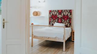 Salon Apartment in Dorcol Historical - Belgrade - 8