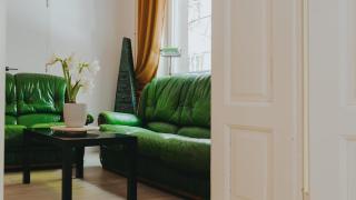 Salon Apartment in Dorcol Historical - Belgrade - 5