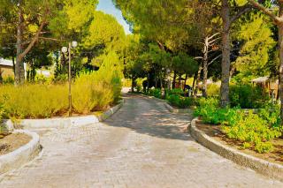 Elitium Thermal&Spa Hotel - Bozköy - 1