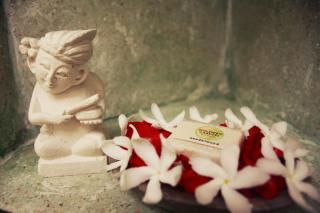 Holiway Garden Resort & SPA - Bali - - Tejakula - 6