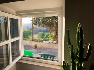 Casa Anneli - relaxing under the olive tree - Aljezur - 2