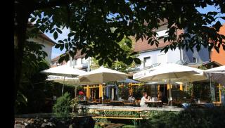 Karpfenhotel & Herrenhaus im Gasthaus Sindel-Buckel - Feuchtwangen - 5