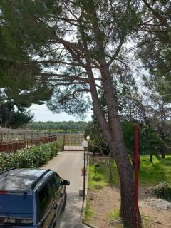Villa Udi - Bitonto - 6
