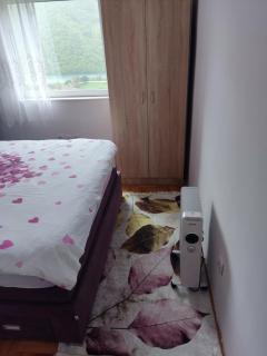 Apartman DUNJA - Plužine - 1
