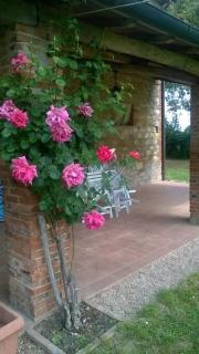 CASA INDIPENDENTE con giardino-min 3 notti - Castiglione del Lago - 1
