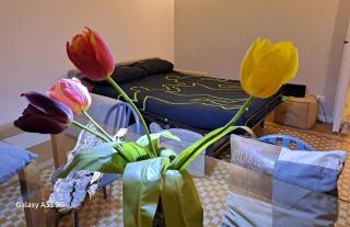Boutique Apartment in Flaminio Area - Rome - 3
