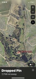 Quinta Do Pereiro - Tábua - 4