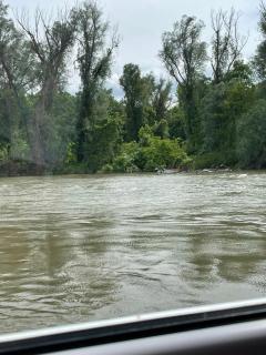 Small Cabin on river Jabukov cvet - 4