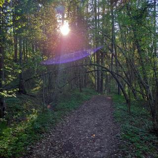 Ozolu gatve 2- no Cēsīm 7 km - 3