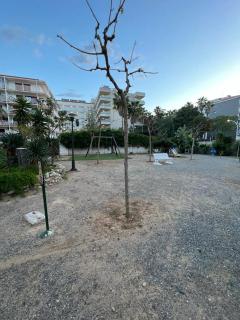 Costa Daurada Apartaments - 157 ARQUSS III - 8