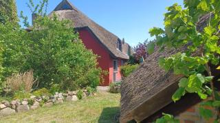 Ferienwohnung Meeresträume Wohnung 2 - Wustrow - 8