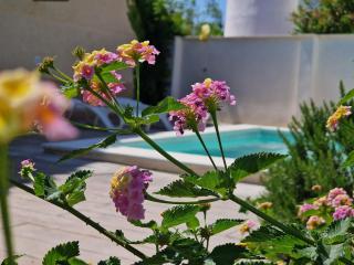 Riumar "Belmar", 400m to beach, private pool, On-Site-Service, dog beach - Riumar - 7