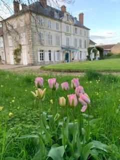 Chateau de Bellefontaine - - 7