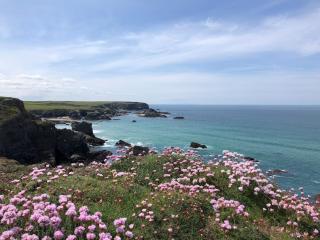 Coastal retreat surrounded by open countryside - 8