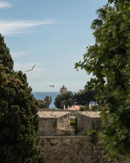 Artsy Cascais - Cascais - 7