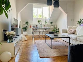 Big, bright apartment in the center of Zagreb - 0