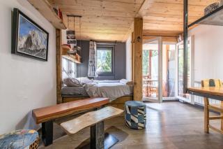 Modern Apt with Mont-Blanc view - Chamonix - 8