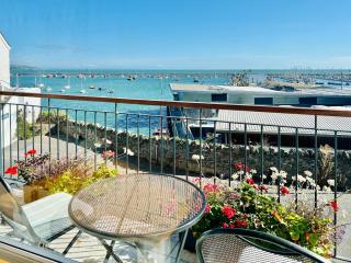 Blue Lobster - Brixham - 9