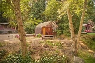 Big Sur Campground and Cabins - Big Sur - 5