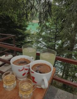 Kuća Veronika Zlatarsko jezero 1 - Nova Varoš - 6