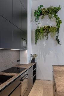 City Center Apartment Telegraph - Vienne - 2