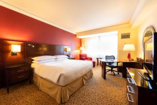 Aguascalientes Marriott Hotel - 7
