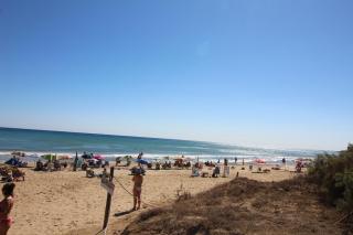 Apartamento en la Mata (Torrevieja) AQ-132 - Torrevieja - 3