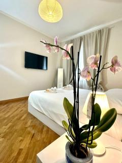 Lovely Lucca [free parking] - 6