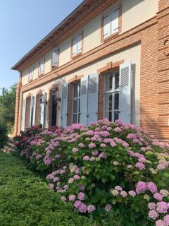 Gite ANDA- piscine- Montauban - Lacourt-Saint-Pierre - Lacourt-Saint-Pierre - 2