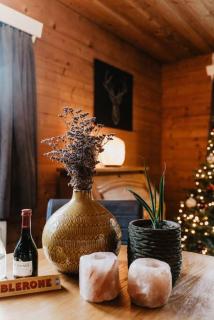 Cosy and Romantic forest house met SAUNA op de Veluwe - Putten - 5
