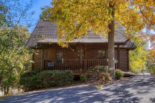 ER23 - Smoky Memories cabin - 9