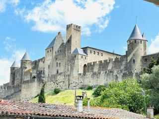 La Maison de La Tour Pinte - Carcassonne - 9