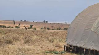 Little Amanya Camp - Amboseli - 8