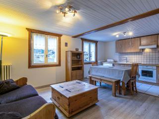Appartement 2 Chambres au Centre, Proche Pistes, Wifi, Animaux Bienvenus - FR-1-437-37 - La Clusaz - 3