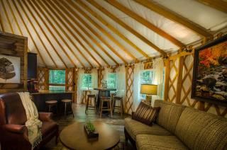 Spring Ridge Luxury Yurt - Creekside Glamping with Private Hot Tub - Topton - 9