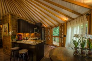 Spring Ridge Luxury Yurt - Creekside Glamping with Private Hot Tub - Topton - 2