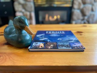 Stone Creek Chalets by Fernie Central Reservations - 7