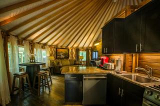 Creekside Cove Luxury Yurt w Hot Tub in Nantahala - Topton - 8