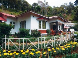 Olive Brook - Munnar - 0