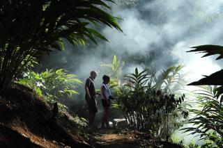Olive Brook - Munnar - 6