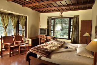 Olive Brook - Munnar - 3